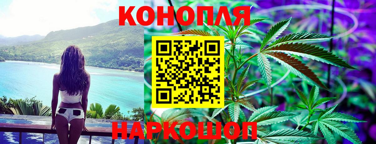Шишки марихуана сатива  Бошки Шишки планчик  Вход с VPN  Кумертау 